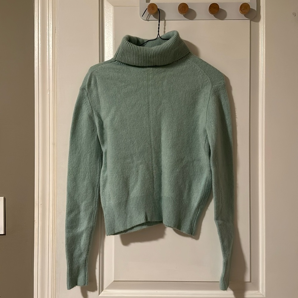 Aritizia turtleneck sweater